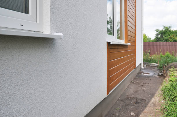 Affordable Siding Repair and Maintenance Services in Orlando, FL